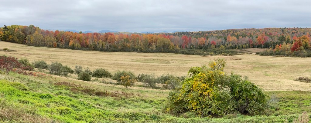 12 family friendly places for fall foliage in the&nbsp;Northeast